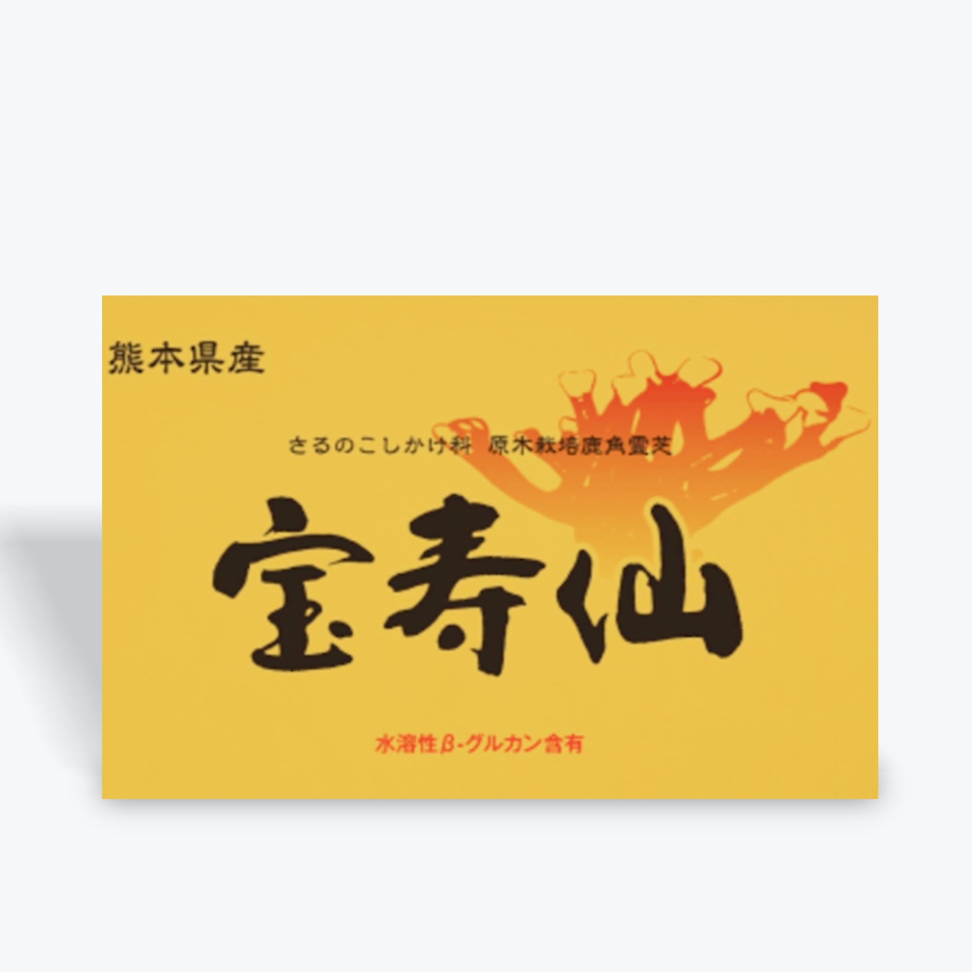 鹿角霊芝の専門家 | Nucleus